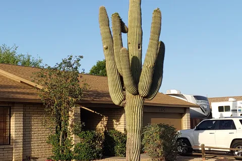 Desert Shadows RV Resort
