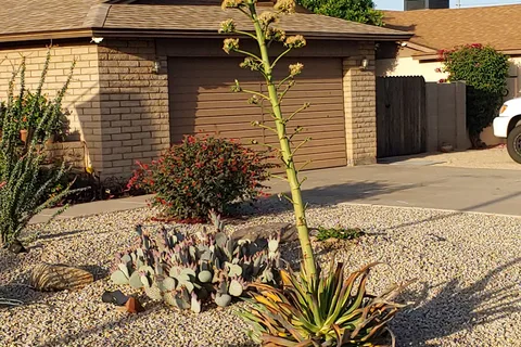 Desert Shadows RV Resort