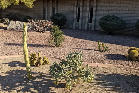 Desert Shadows RV Resort