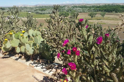Angel Peak RV Park
