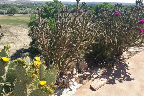 Angel Peak RV Park