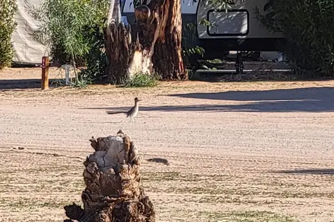 Dateland RV Park