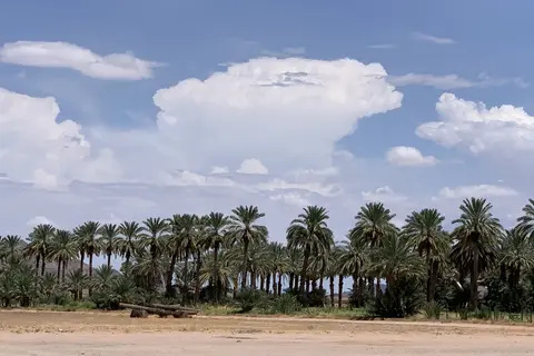 Dateland RV Park