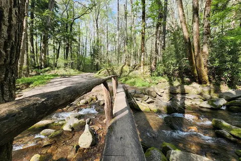 Cosby Campground - Great Smoky Mountains National Park