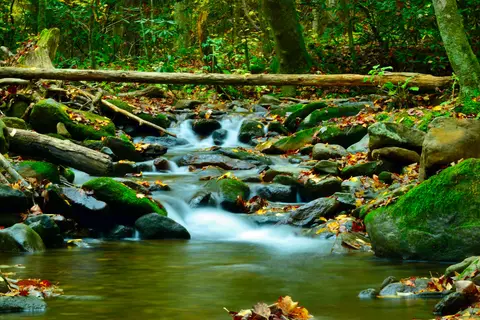 Cosby Campground - Great Smoky Mountains National Park
