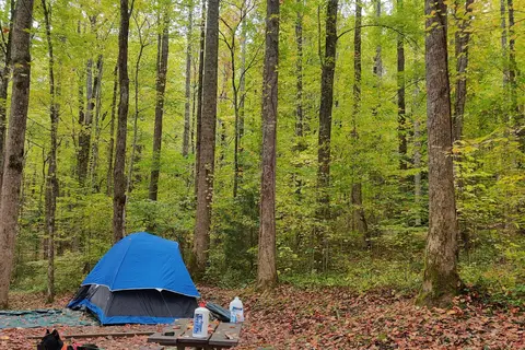 Cosby Campground - Great Smoky Mountains National Park