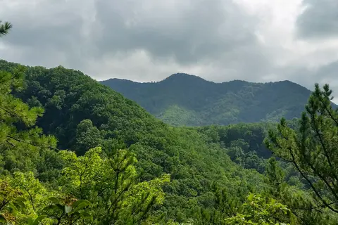 Cosby Campground - Great Smoky Mountains National Park