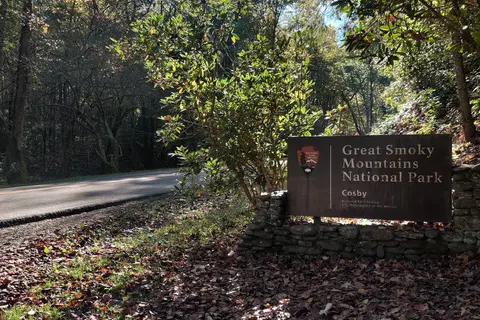 Cosby Campground - Great Smoky Mountains National Park