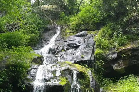 Cosby Campground - Great Smoky Mountains National Park