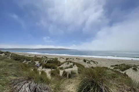 Lawson's Landing