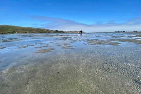 Lawson's Landing