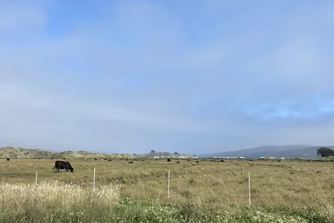 Lawson's Landing