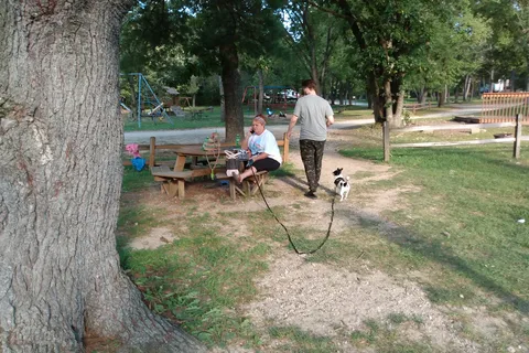 Sherwood Forest Camping and RV Park