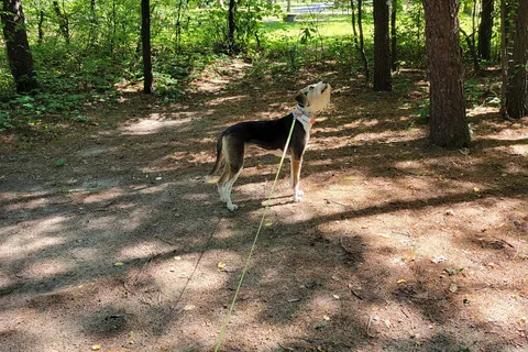 Sherwood Forest Camping and RV Park