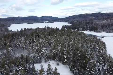 Lincoln Pond - DEC