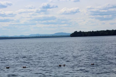 Dunn Point - Lily Bay State Park