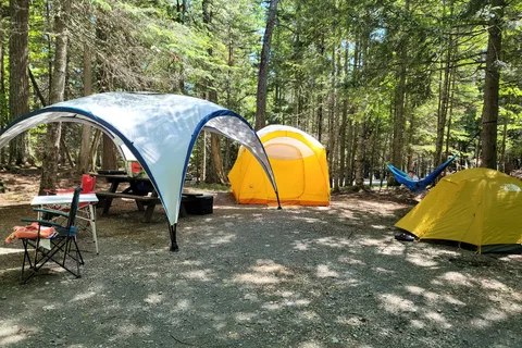 Dunn Point - Lily Bay State Park