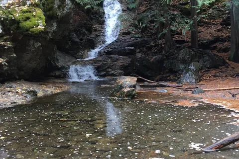 Cedar Falls Campground