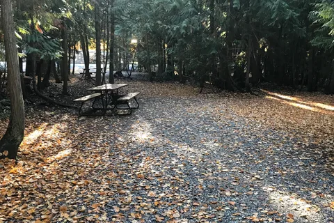 Cedar Falls Campground