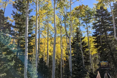 Hyde Memorial State Park