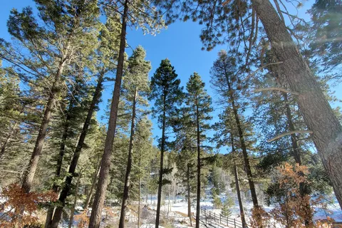 Hyde Memorial State Park