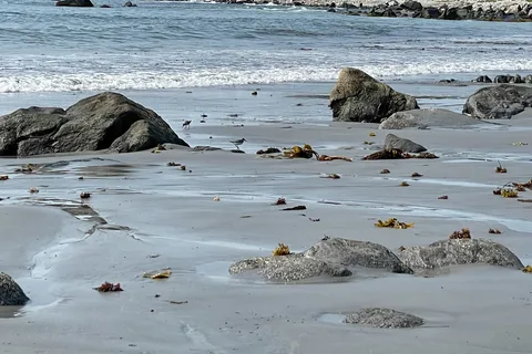 Fishermans Cove RV and Campground