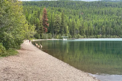 Bowman Lake Campground - Glacier National Park