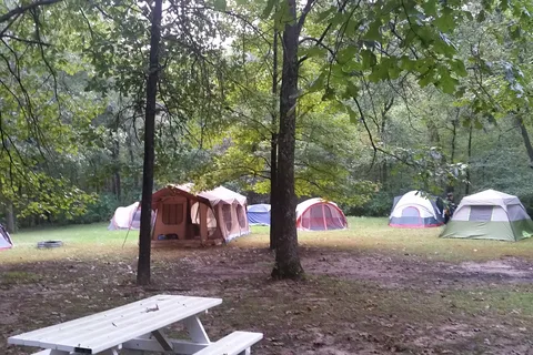 American Legion Freedom Farm