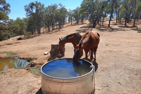 Ascension Ranch