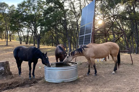 Ascension Ranch
