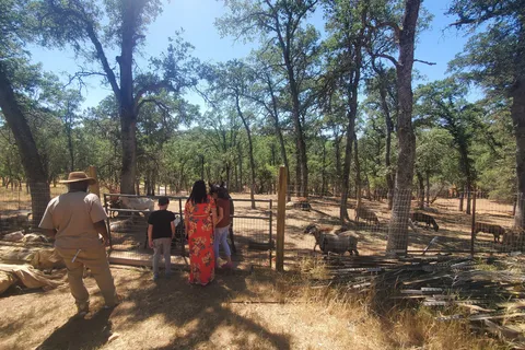Ascension Ranch