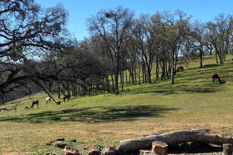 Ascension Ranch