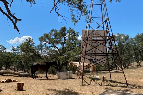 Ascension Ranch
