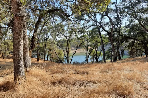 Ascension Ranch
