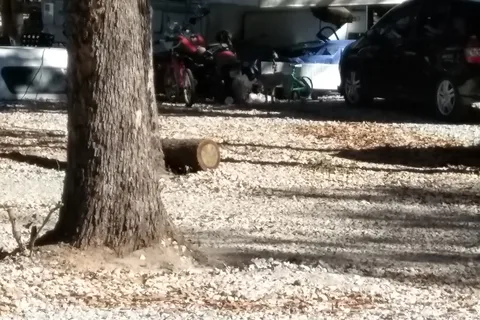 Shady Lane RV Park