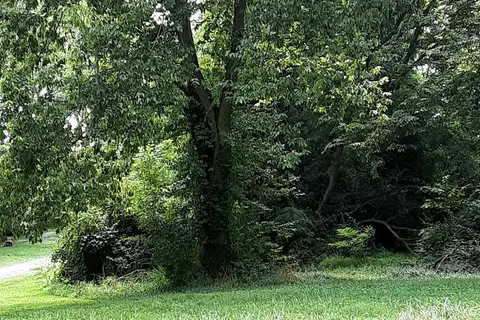Pioneer Playhouse RV campground