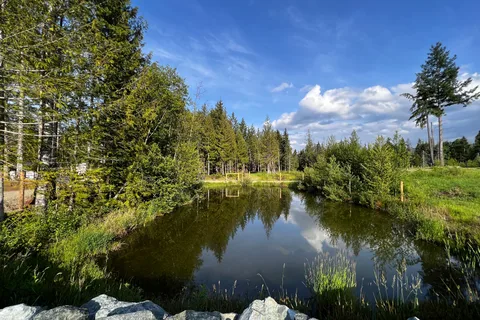 Lily Pond RV