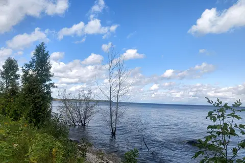 JW Wells State Park