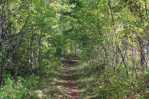 JW Wells State Park