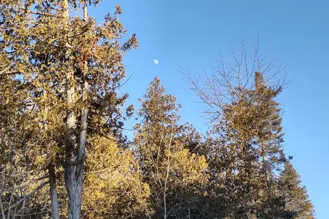 JW Wells State Park