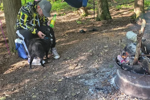 Big Lake Campgrounds