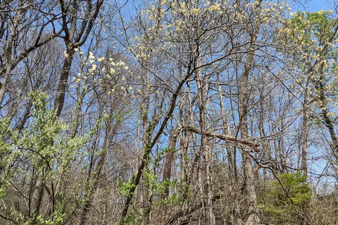 Cowan Lake State Park