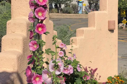 Rancheros De Santa Fe Campground