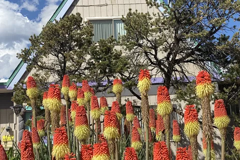 Rancheros De Santa Fe Campground