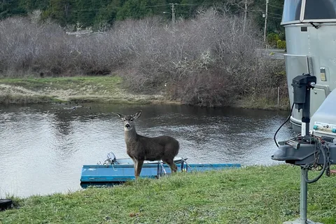 North Lake RV Resort and Marina