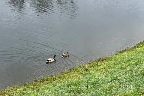 North Lake RV Resort and Marina