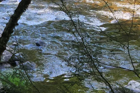 Jamaica State Park
