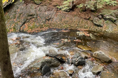 Jamaica State Park