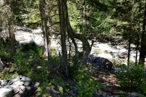 Fort Steele Campground