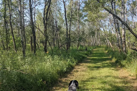 Old Mill State Park